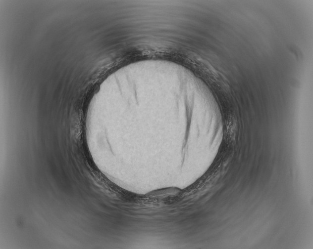 X0000111361012200908071149