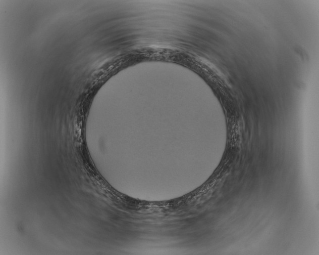 X0000111361013200908071149