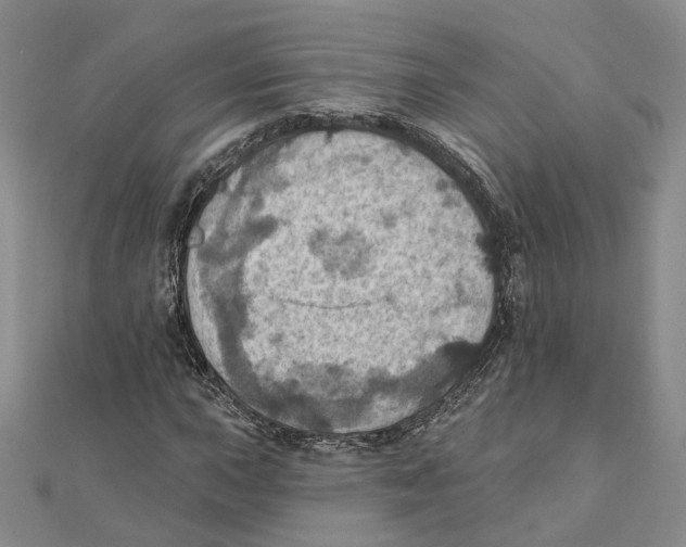 X0000111361015200908071149