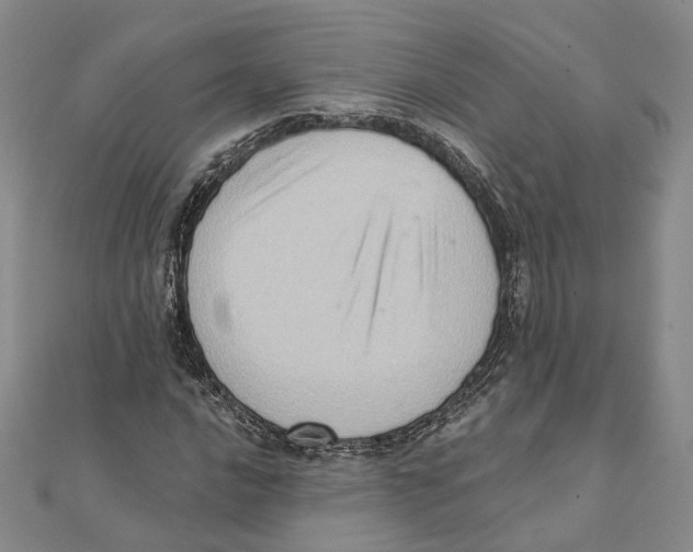 X0000111361016200908071149