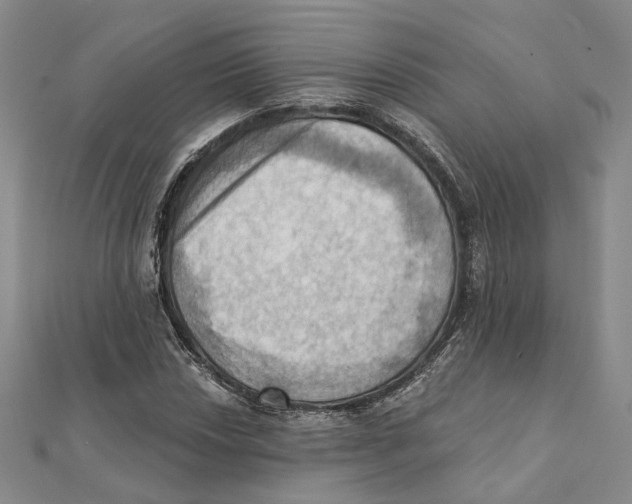 X0000111361018200908071149