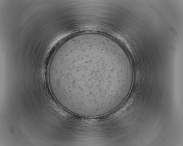 X0000111361019200908071149