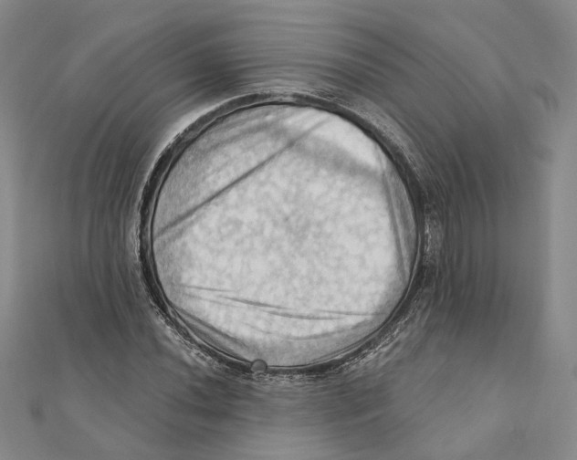 X0000111361020200908071149