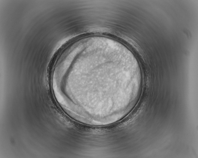 X0000111361022200908071149