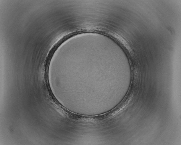 X0000111361023200908071149