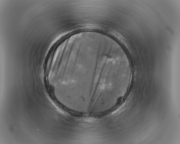 X0000111361024200908071149