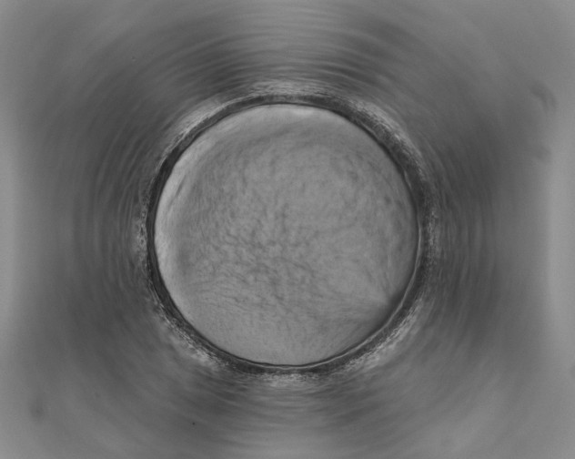 X0000111361025200908071149