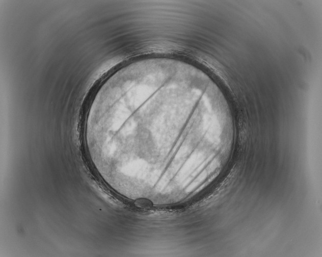 X0000111361026200908071149