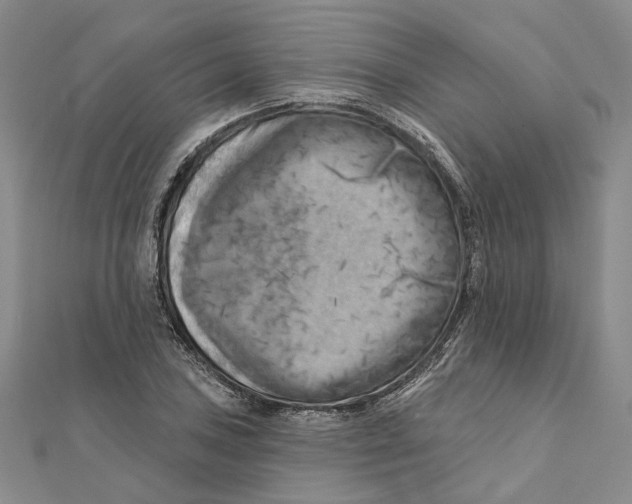 X0000111361027200908071149
