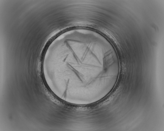 X0000111361029200908071149
