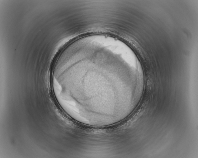 X0000111361030200908071149