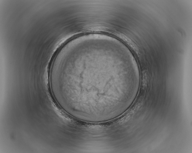 X0000111361031200908071149