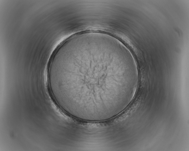 X0000111361032200908071149