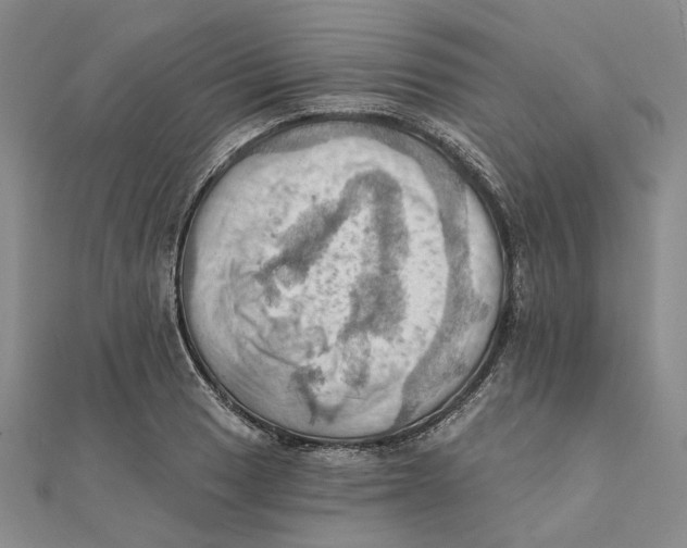 X0000111361033200908071149