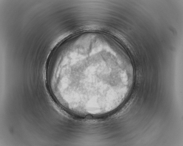 X0000111361034200908071149