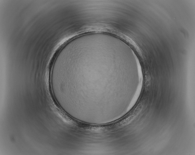 X0000111361035200908071149