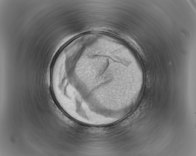 X0000111361036200908071149