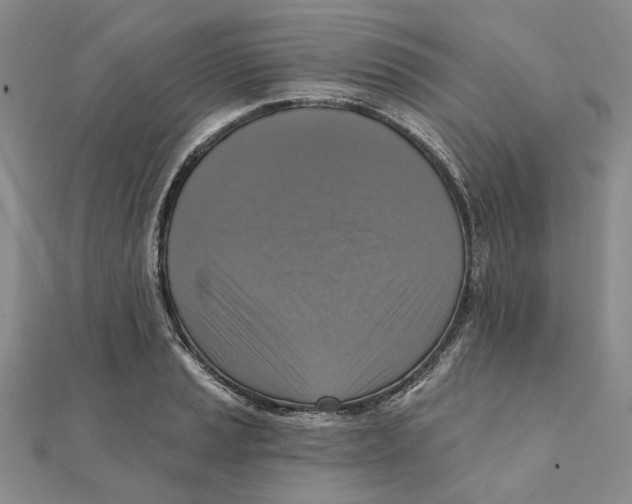 X0000111361037200908071149