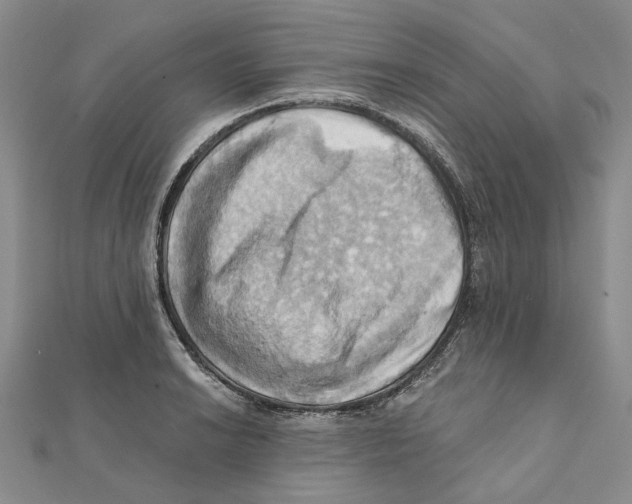 X0000111361038200908071149