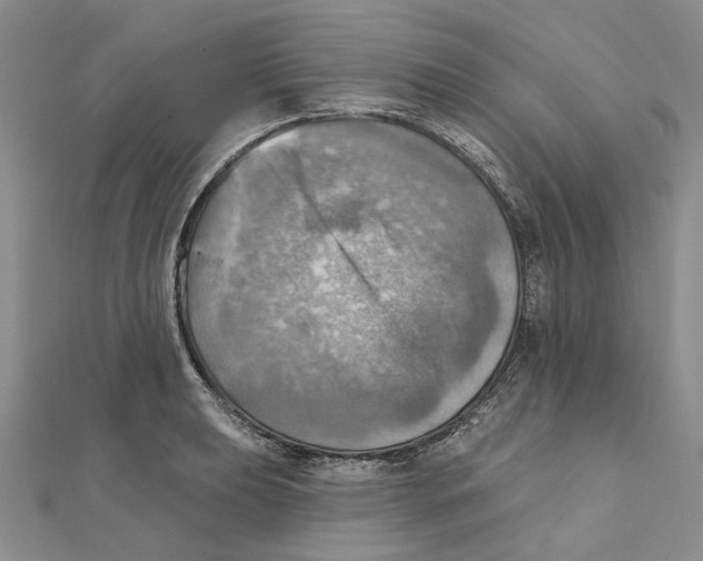 X0000111361039200908071149