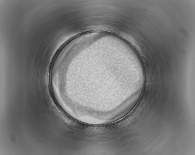 X0000111361040200908071149