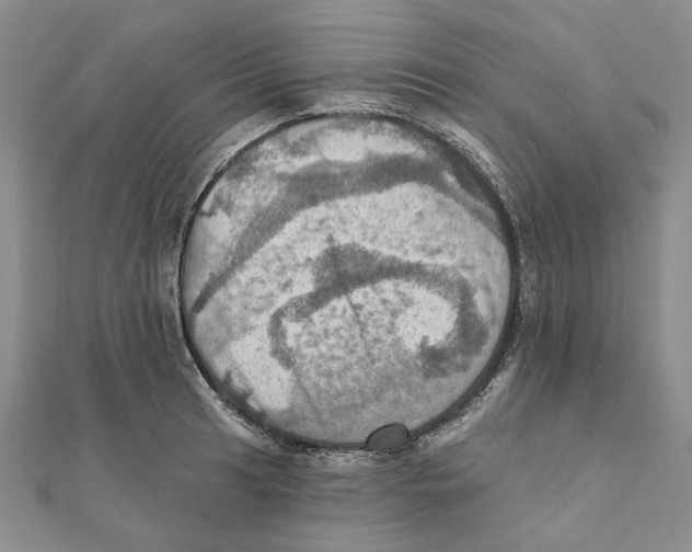 X0000111361041200908071149