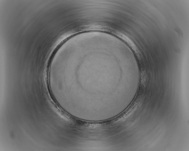 X0000111361043200908071149