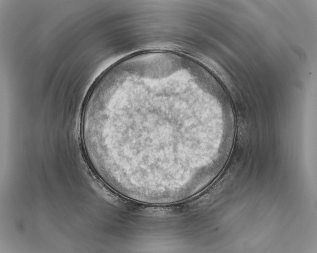 X0000111361044200908071149