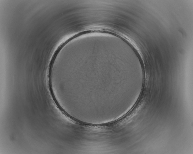 X0000111361045200908071149