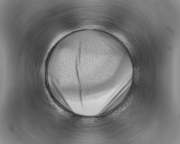 X0000111361046200908071149