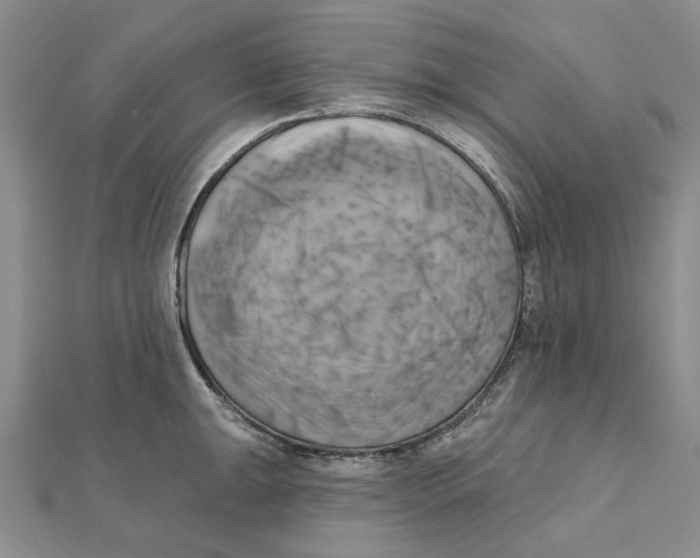 X0000111361047200908071149