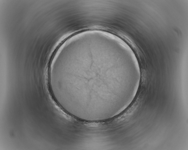 X0000111361048200908071149