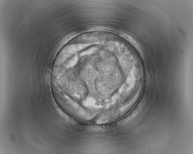 X0000111361049200908071149