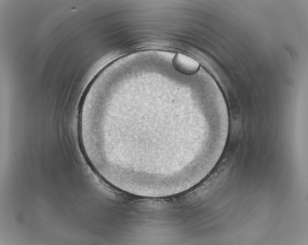 X0000111361050200908071149