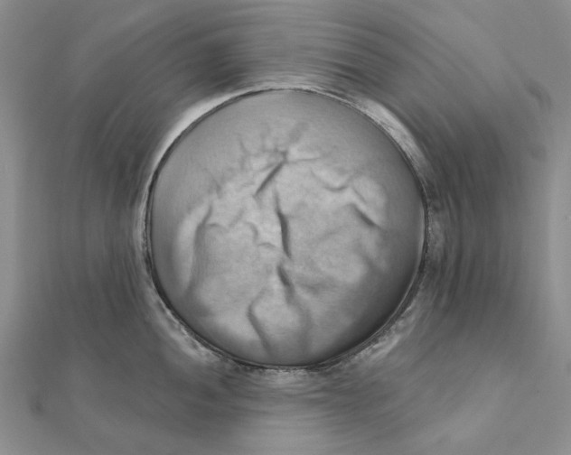 X0000111361052200908071149