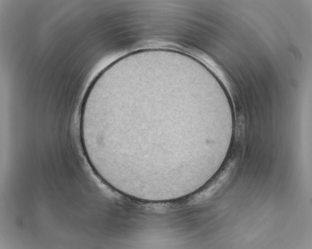 X0000111361053200908071149