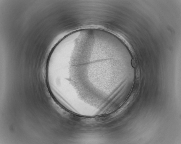 X0000111361054200908071149