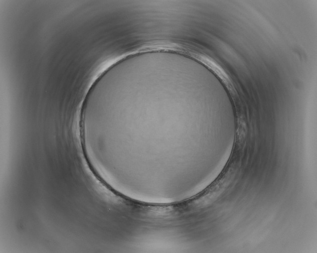 X0000111361055200908071149