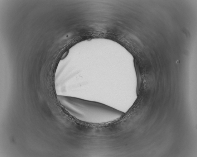 X0000111361057200908071149