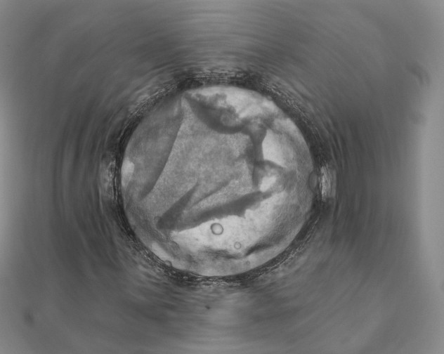 X0000111361059200908071149