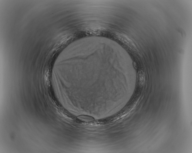 X0000111361060200908071149