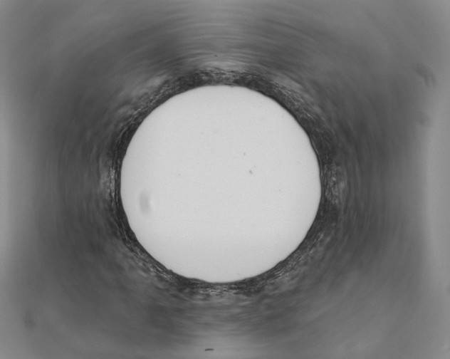 X0000111361061200908071148