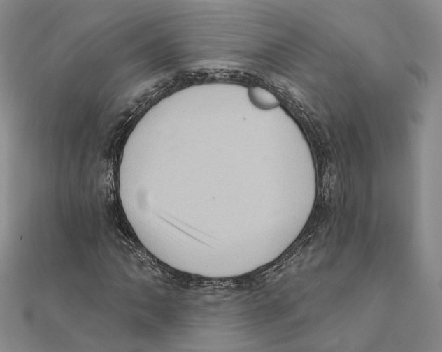 X0000111361062200908071148