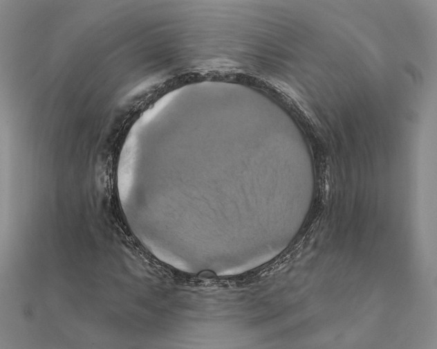 X0000111361063200908071148