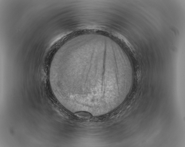 X0000111361064200908071148