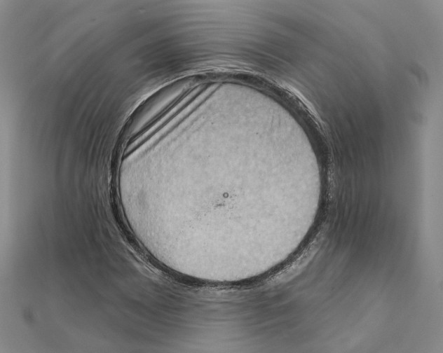 X0000111361065200908071148