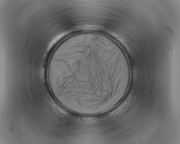 X0000111361066200908071148