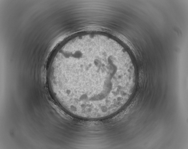 X0000111361067200908071148