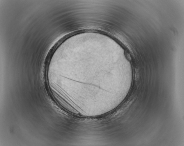 X0000111361068200908071148