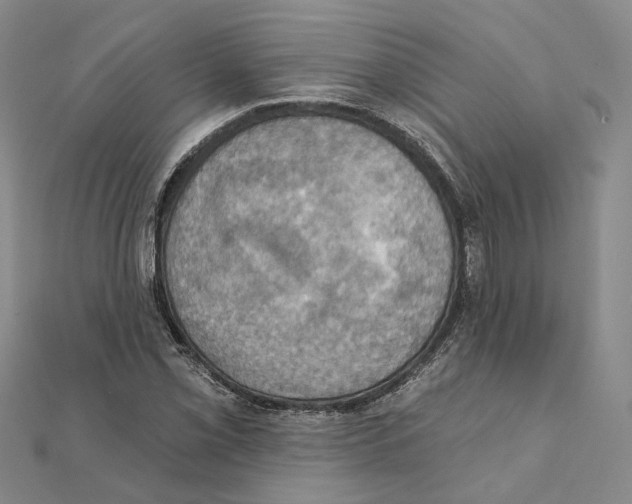 X0000111361069200908071148